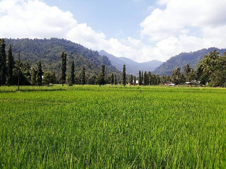 Minangkabau Experience Tour